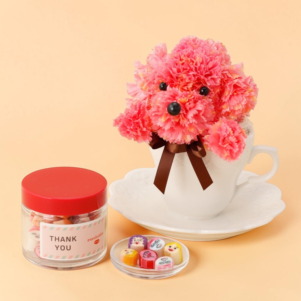 母の日ギフトに！ティーカッププードルのインテリアとママ柄キャンディのセット
