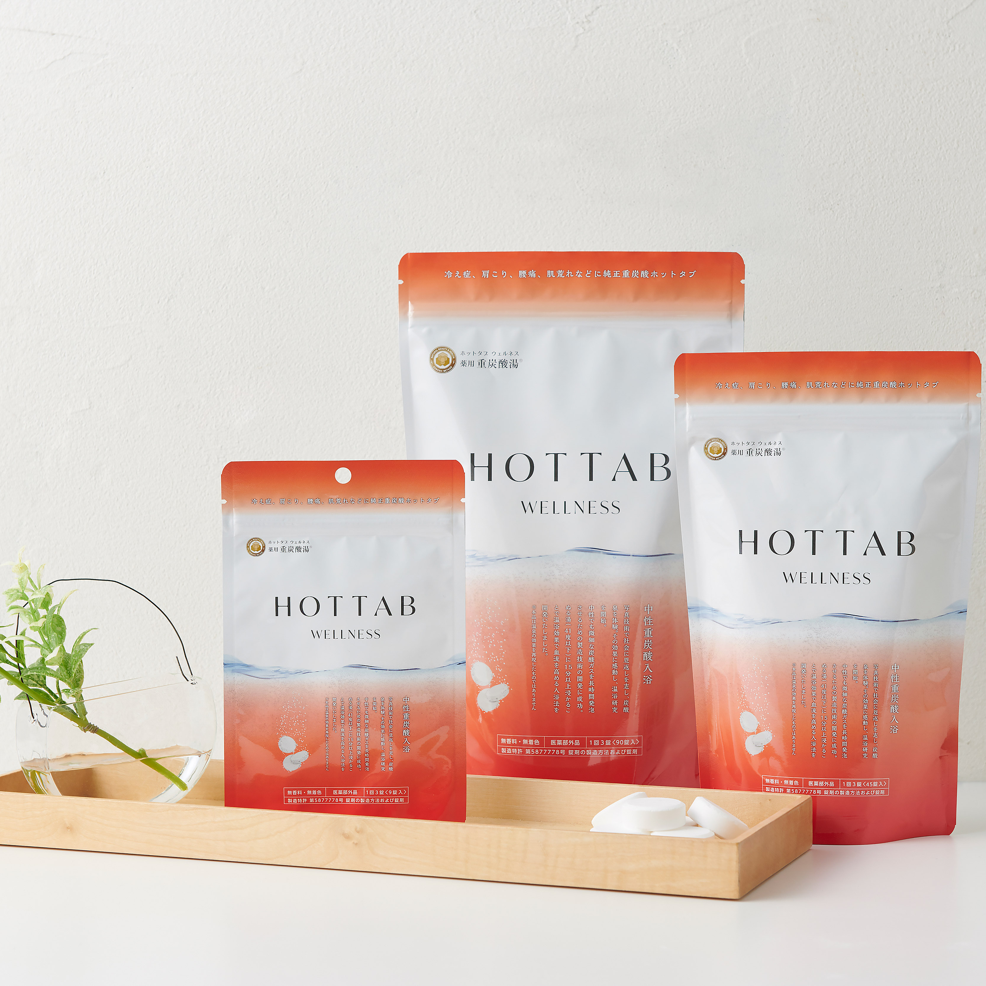 薬用 HOT TAB Wellness 9錠