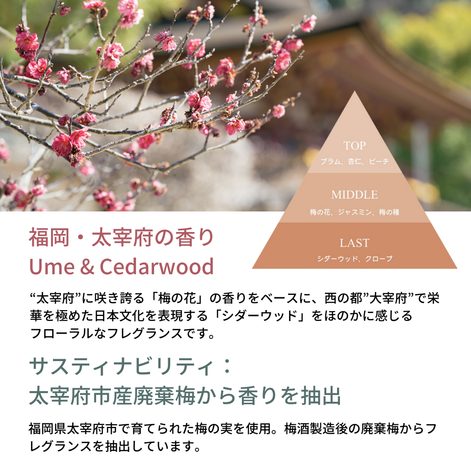 九州の香りを楽しむバスパウダー6種のセット