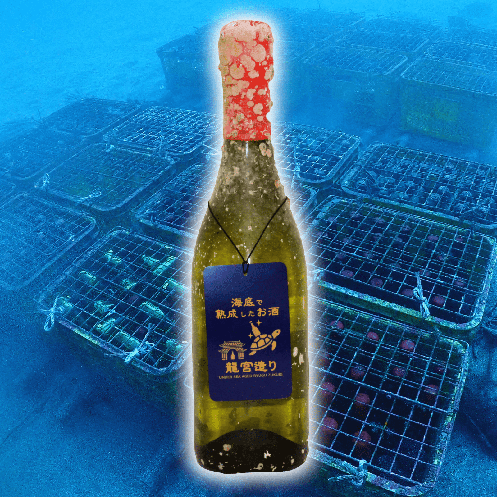 【柑橘や梨のクリーンな果実感の味わい】 フランス産グルナッシュブラン他 白ワイン 辛口 La Vielle Ferme