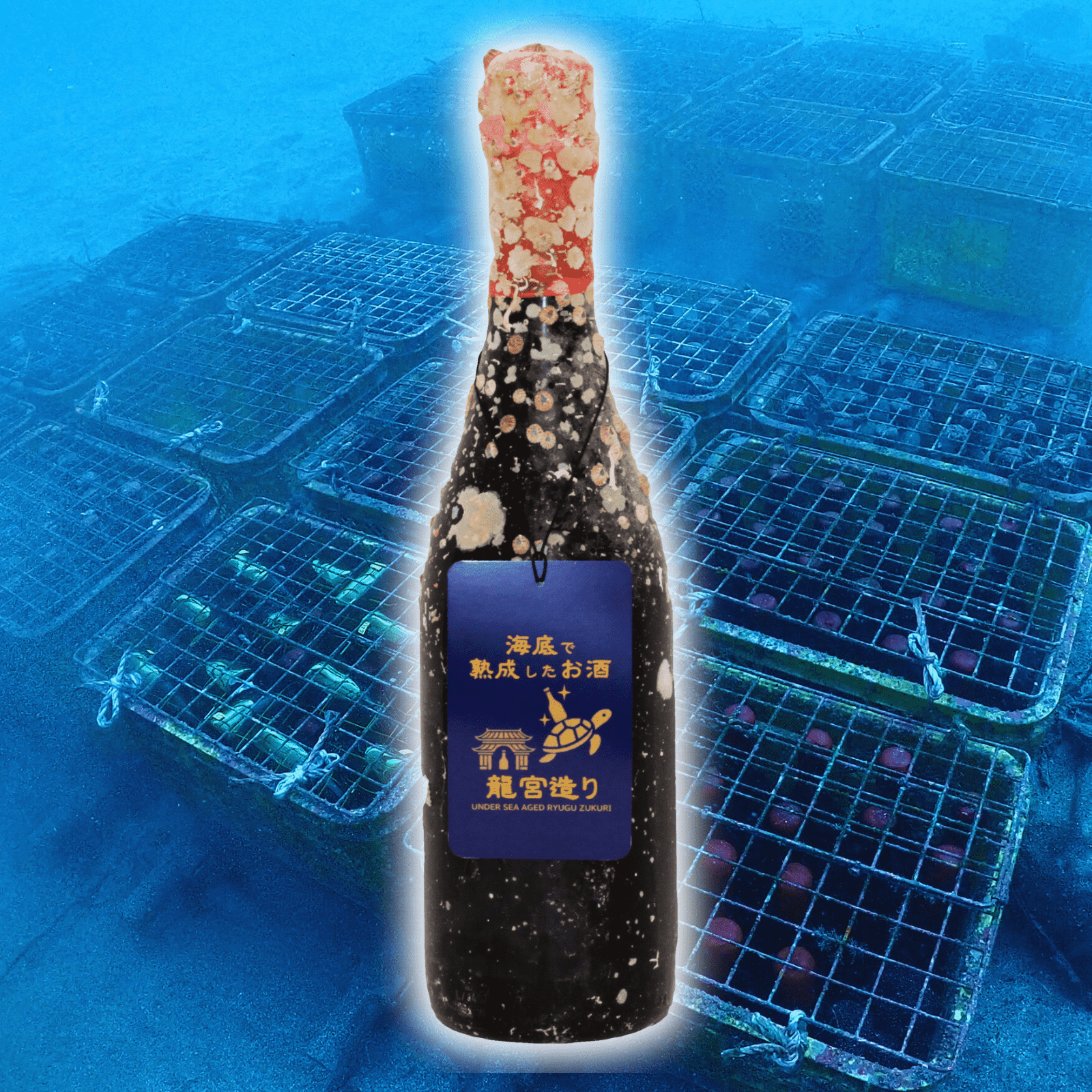 【ベリー系の果実味 やわらかい口当たり】 フランス産グルナッシュ他 赤ワイン フルボディ寄り La Vieille Ferme