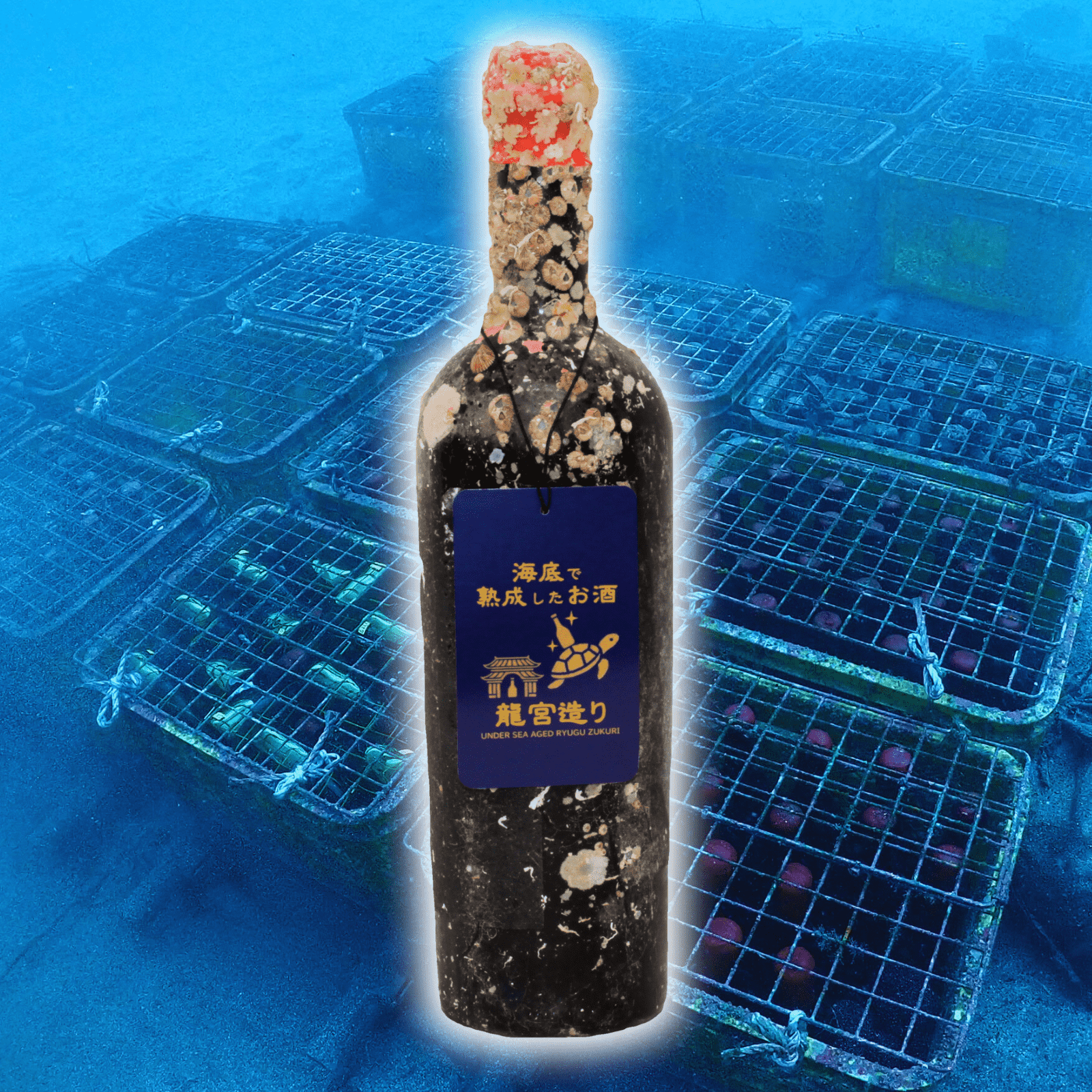 【力強い濃厚なフルボディワイン】 イタリア産ジンファンデル 赤ワイン フルボディ NO BULL ZINFANDEL