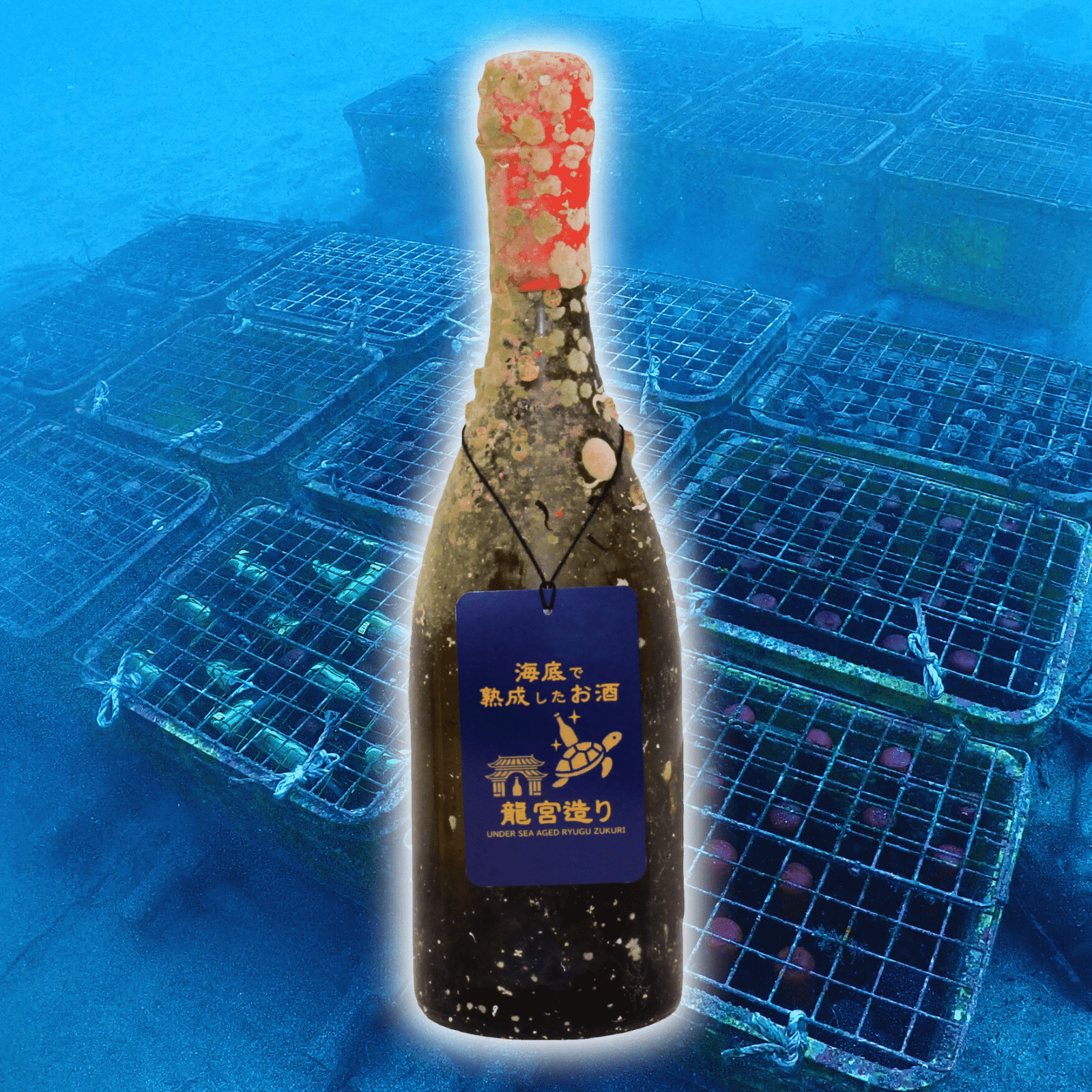 【まろやかなコクとバランスの良い味わい】 フランス産シャルドネ 白ワイン 辛口 CHARDONNAY Cuvee Speciale