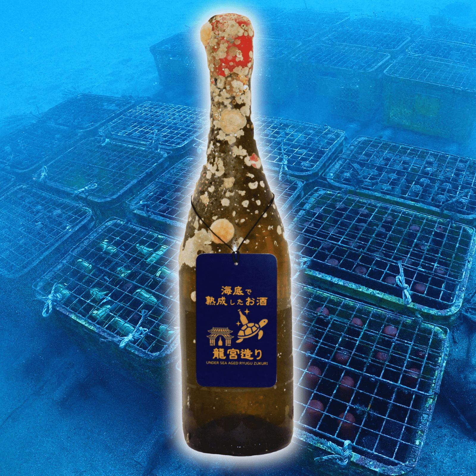 【ロンドン・アワード金賞など5冠受賞】 フランス産シャルドネ 白ワイン 辛口 Mauporjon Chardonnay23