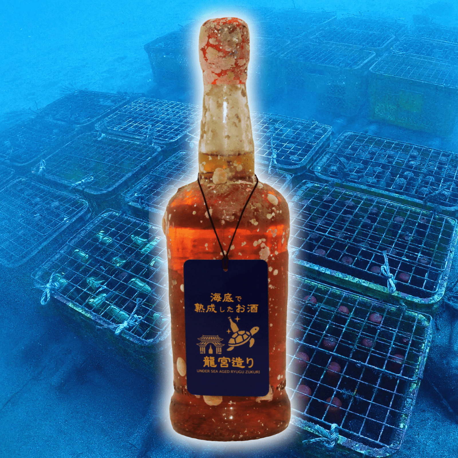 【柔らかな口当たり 王道のバーボン】 アメリカンウイスキー・バーボン,グレーン,モルト WILD TURKEY