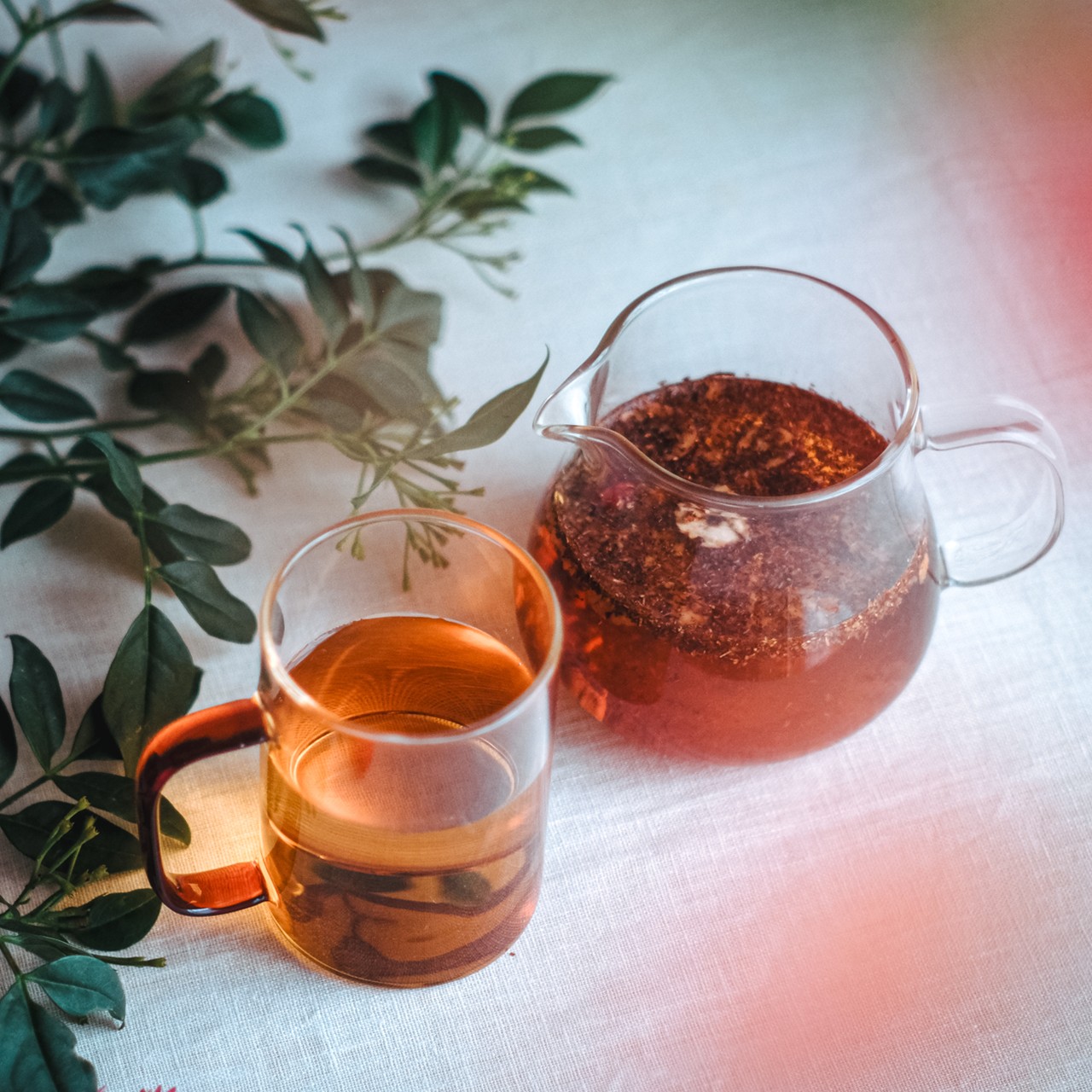 妊婦さんOKフルーツティー「Fruit Rooibos」ギフトボックス10杯分