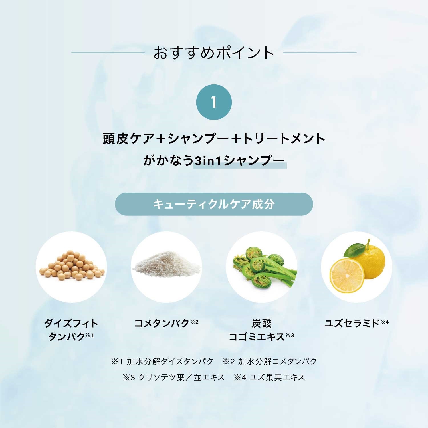 【BOX付】暑い夏を乗り切る スキャルプクールシャンプーセット