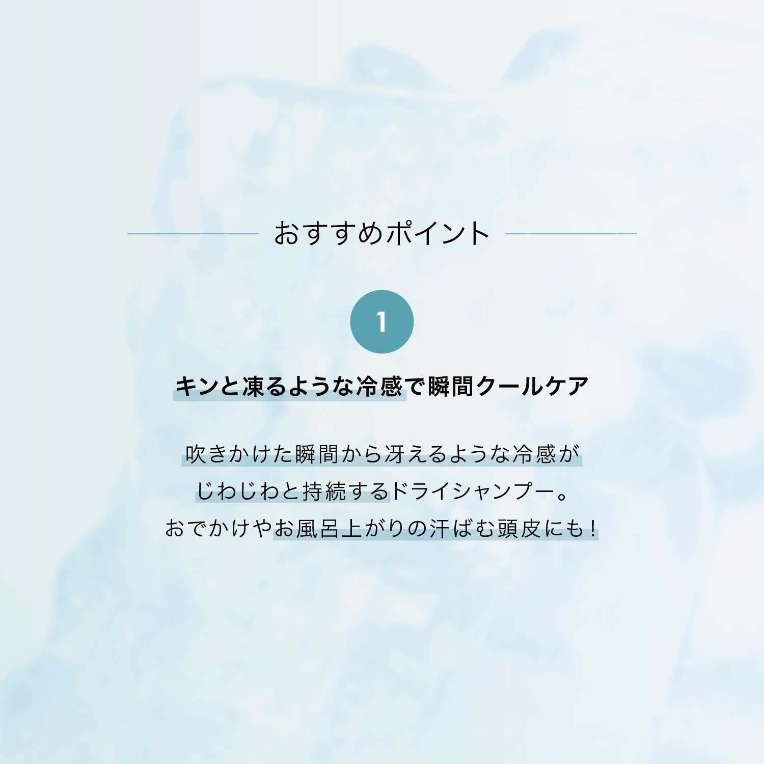 【BOX付】暑い夏を乗り切る スキャルプクールシャンプーセット