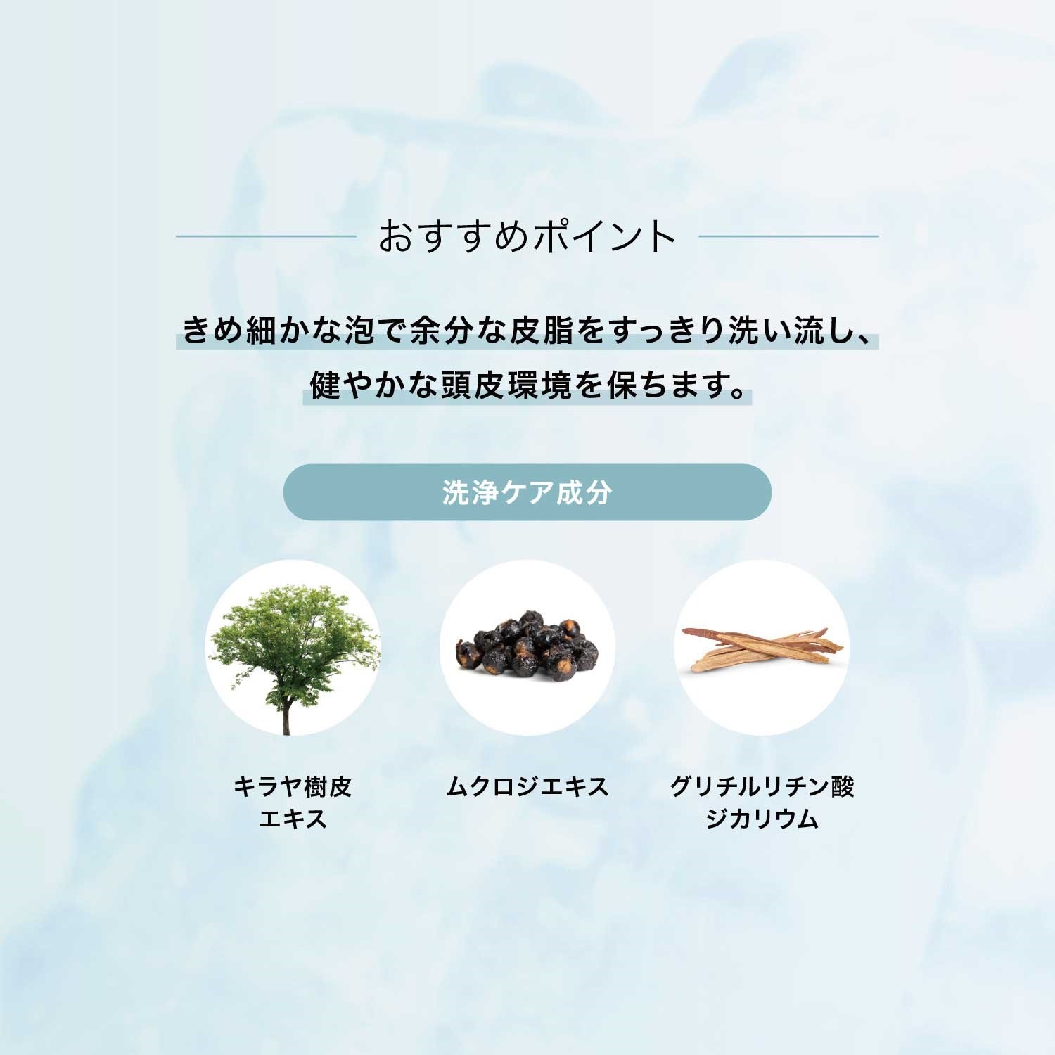 【BOX付】暑い夏を乗り切る スキャルプクールシャンプーセット
