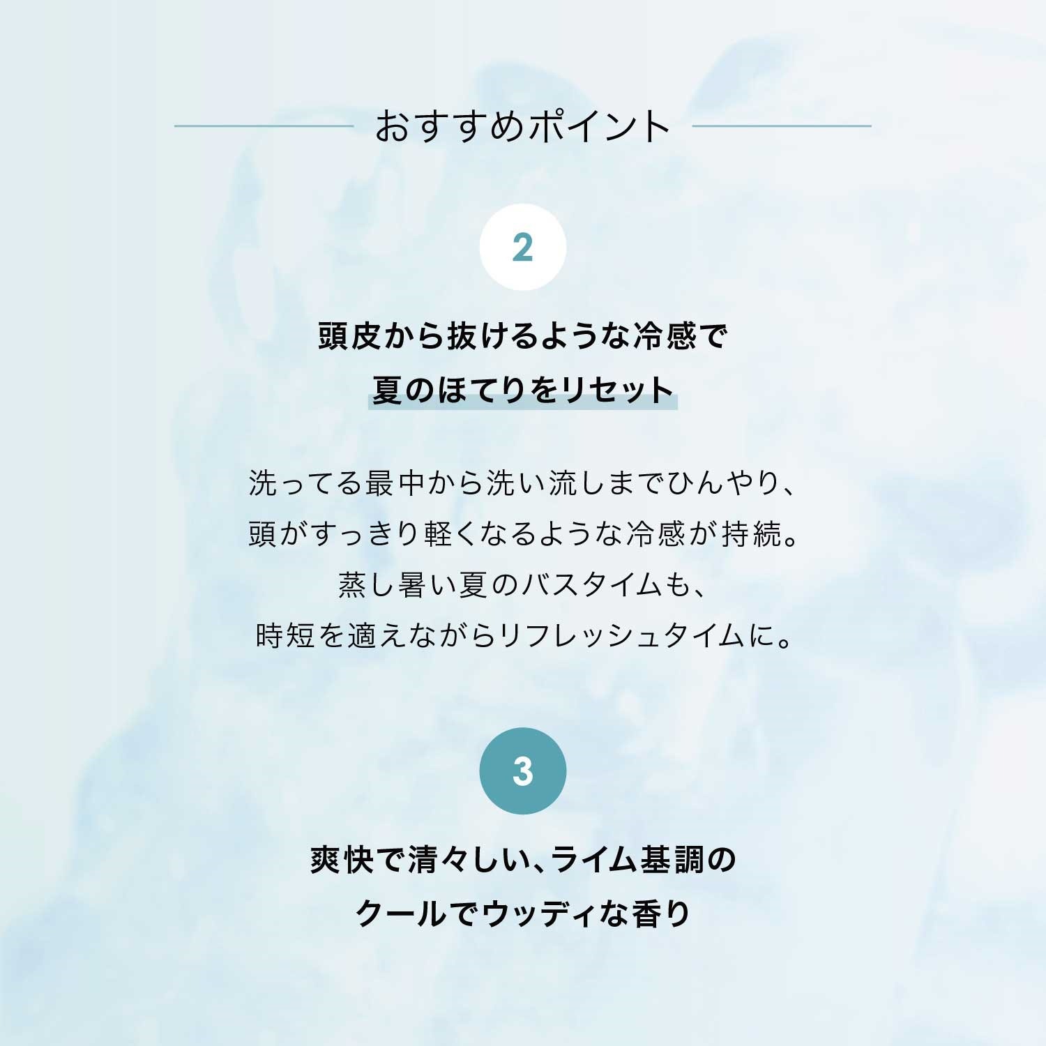 【BOX付】暑い夏を乗り切る スキャルプクールシャンプーセット