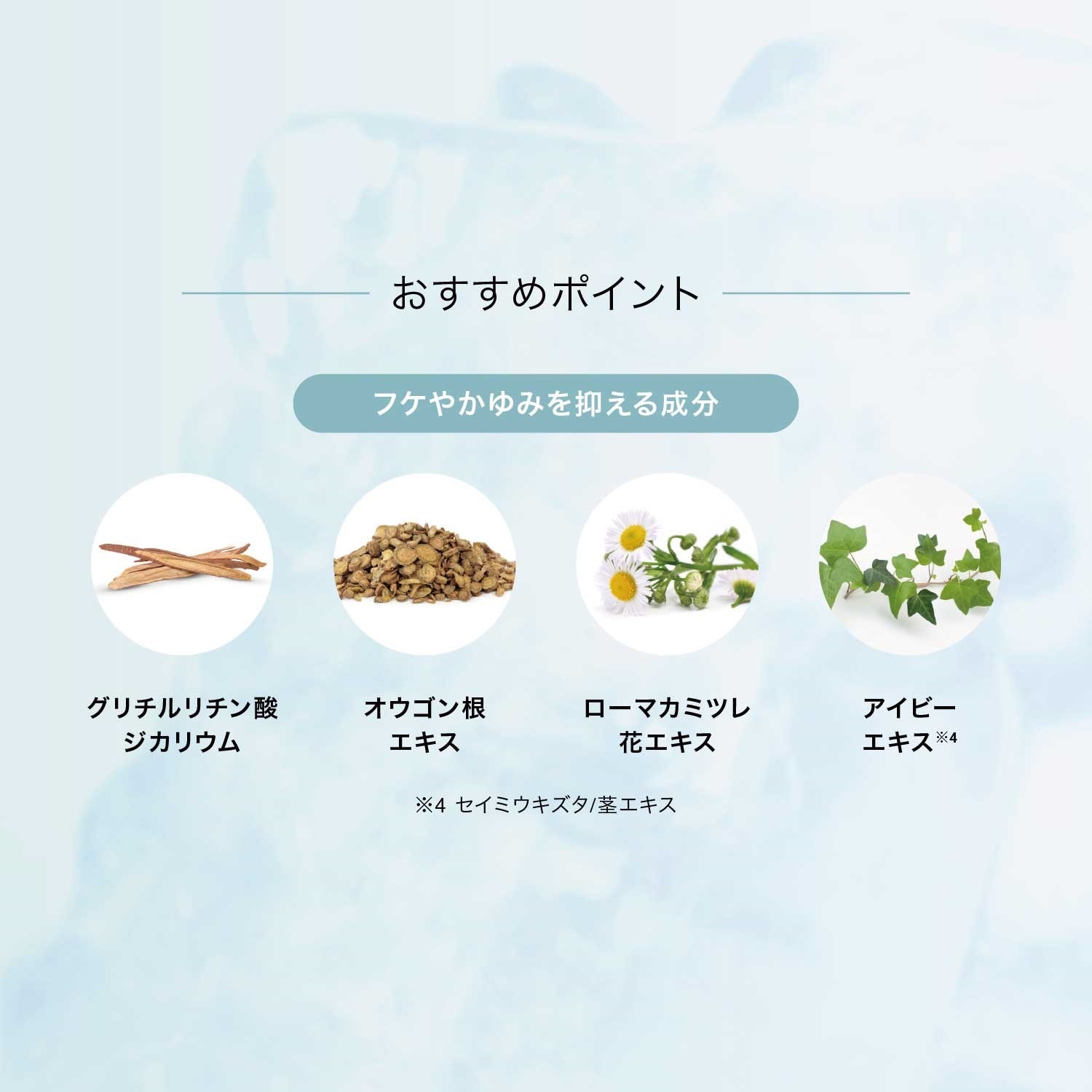 【BOX付】暑い夏を乗り切る スキャルプクールシャンプーセット