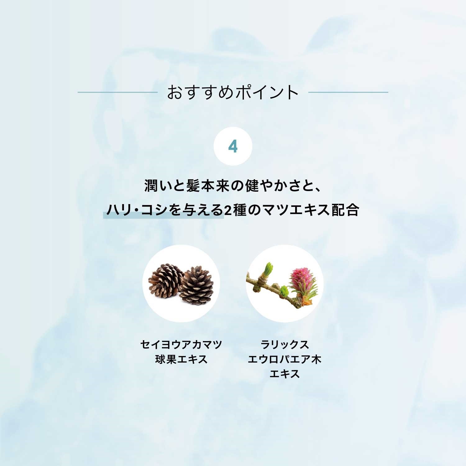 【BOX付】暑い夏を乗り切る スキャルプクールシャンプーセット
