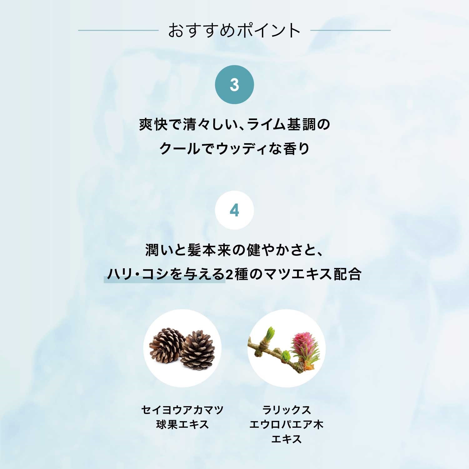 【BOX付】暑い夏を乗り切る スキャルプクールシャンプーセット
