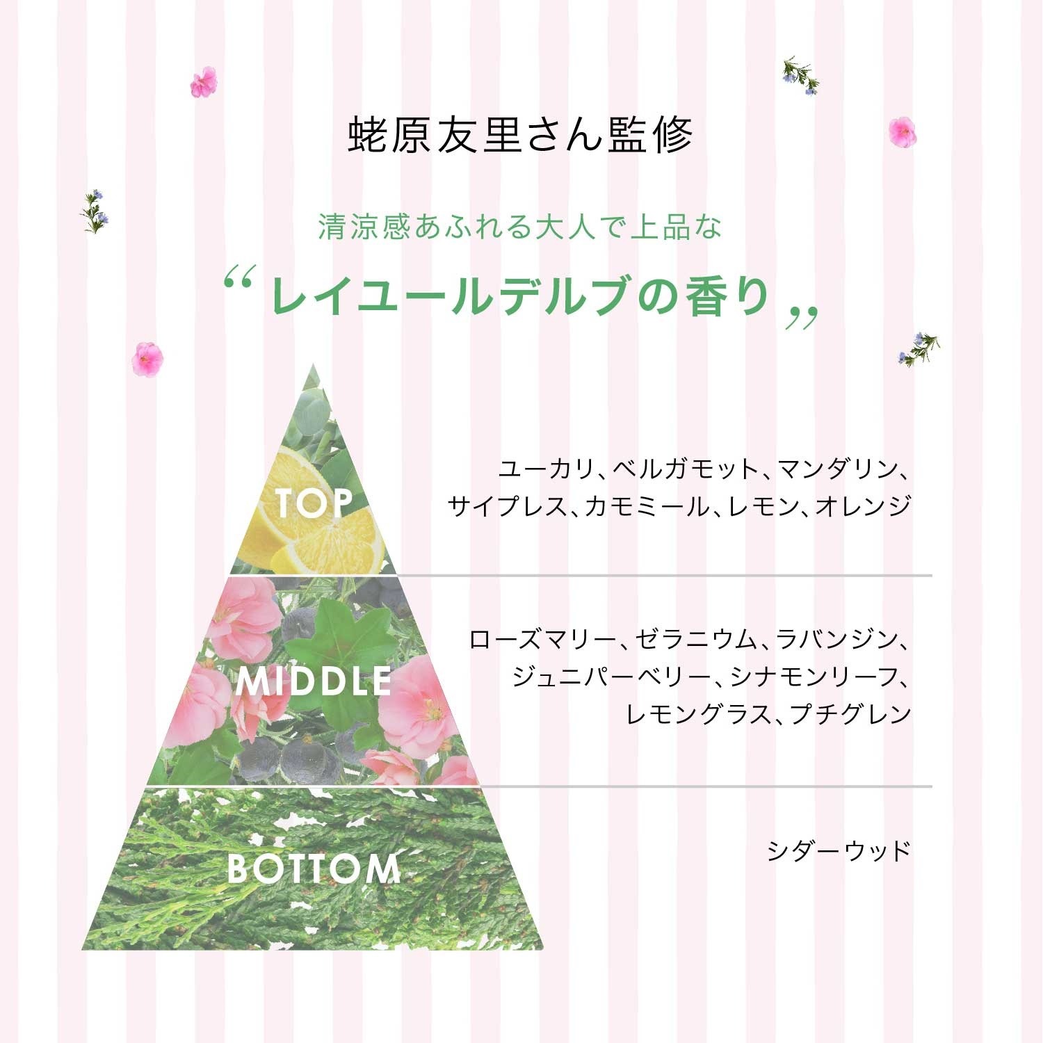 【蛯原友里×F ORGANICS】癒しのアロマで全身潤う・贅沢スキンケア4点セット