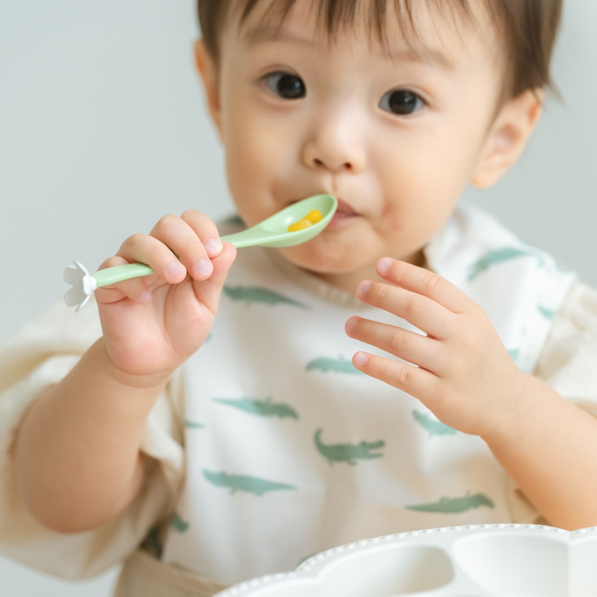 bien mange! ステップテーブルセット -ohana-