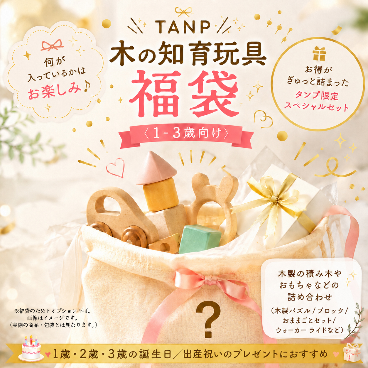 TANP 木の知育玩具福袋〈1-3歳〉｜誕生日・クリスマスプレゼント