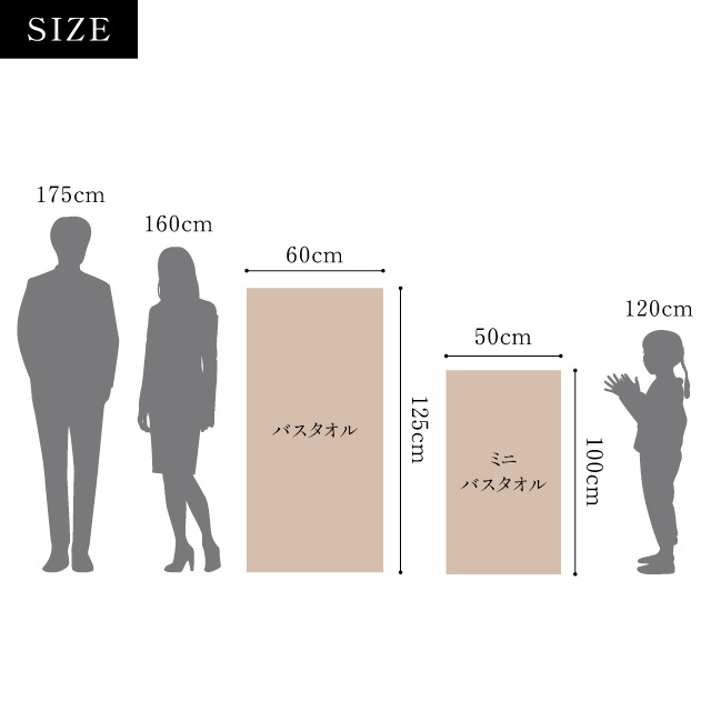 【極上のやわらかさ】N-LINE バスタオル2枚セット