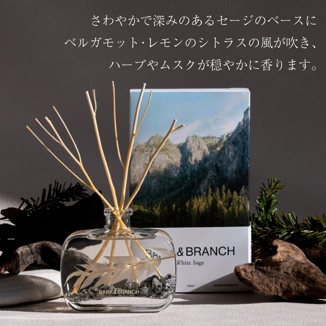 BARK&BRANCH 森の木々が日々移り変わる表情を表現したリードディフューザー