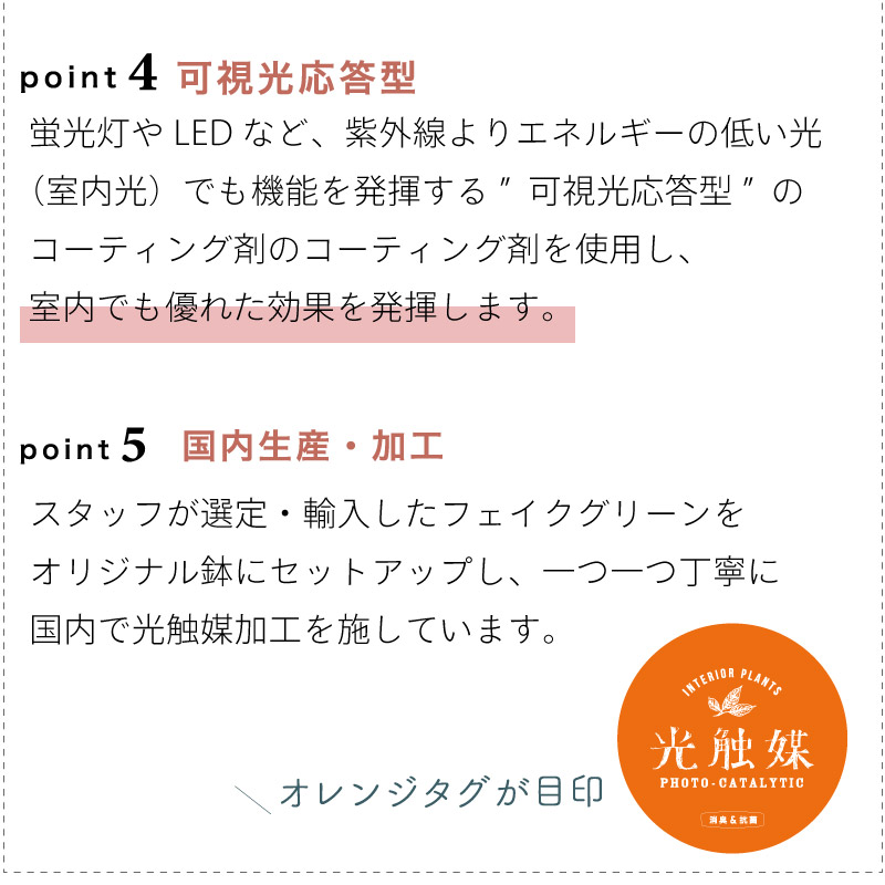 光触媒フェイクグリーン ロングポット