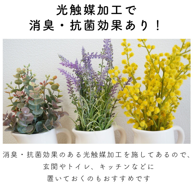光触媒加工で消臭・抗菌効果！ ピッチャー入りフェイクグリーン