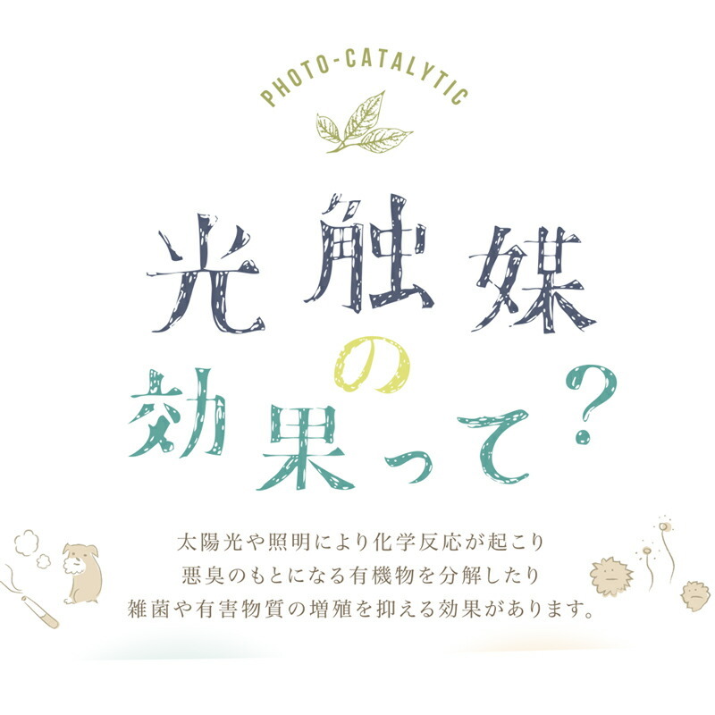 光触媒加工で消臭・抗菌効果！ ピッチャー入りフェイクグリーン