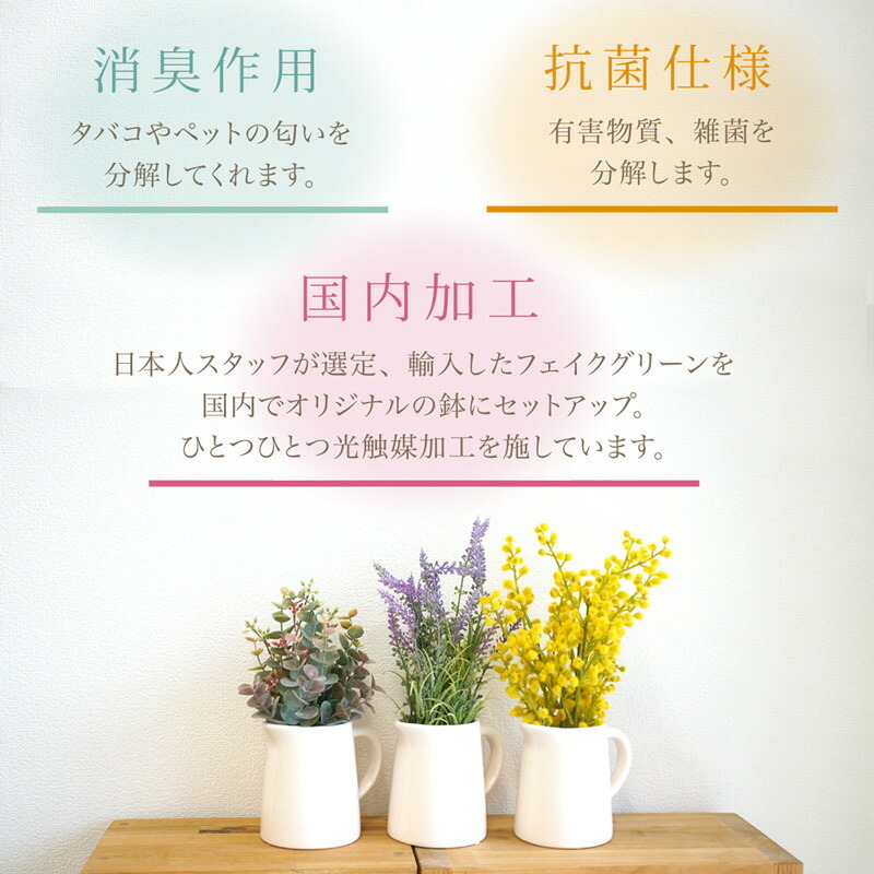 光触媒加工で消臭・抗菌効果！ ピッチャー入りフェイクグリーン
