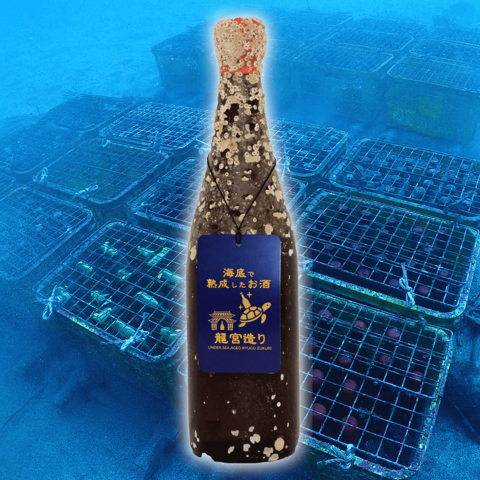 【米の旨味と果物のような芳醇な香り】海底で熟成した日本酒 純米吟醸 越後鶴亀