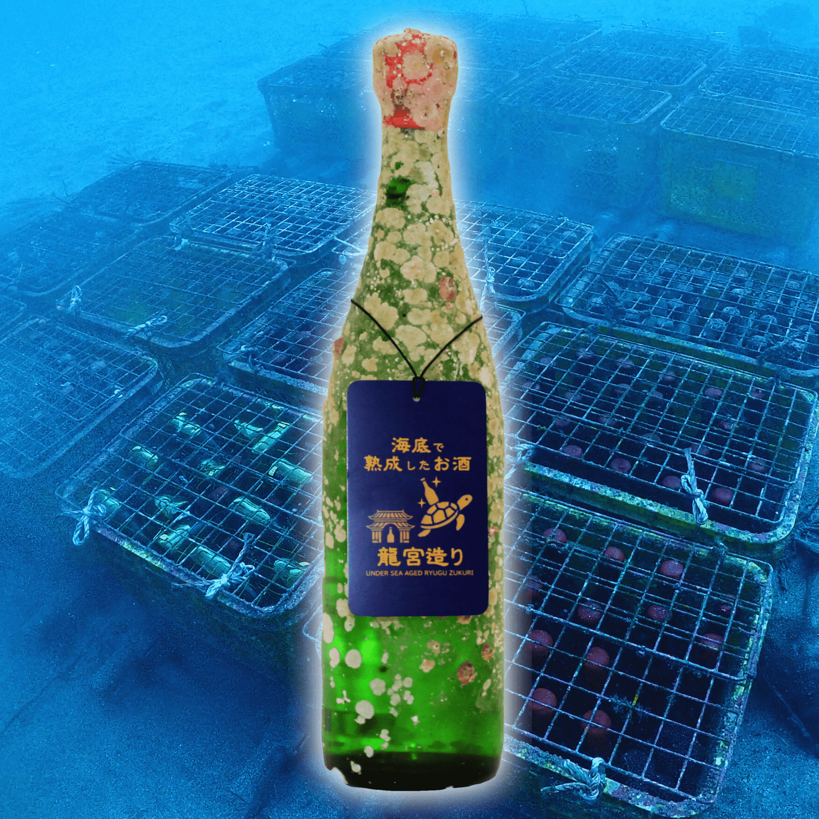 【メロンのような魅惑的な甘い香り】海底で熟成した日本酒 純米 嬉洛水明