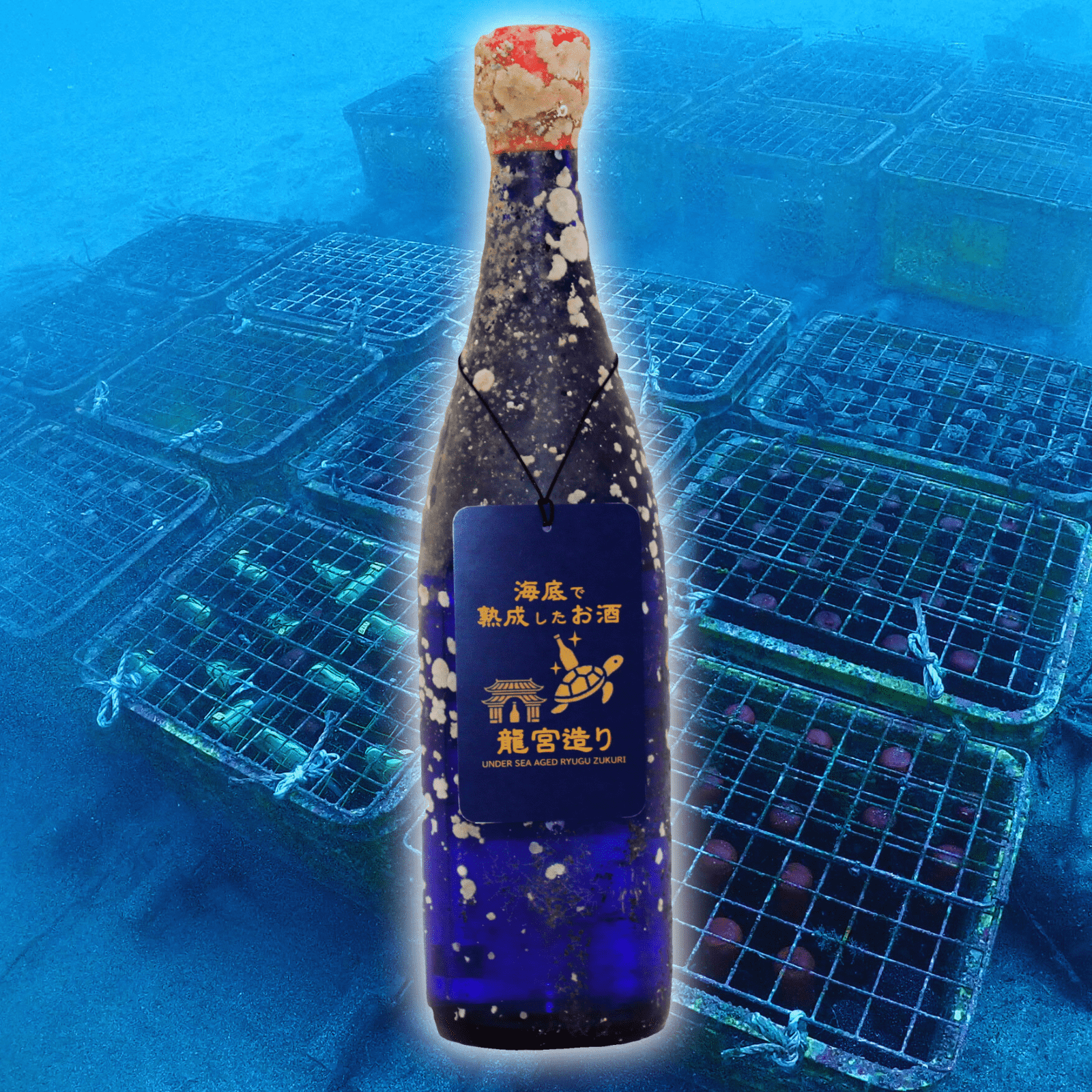 【フルーティな香りとすっきりな飲みくち】海底で熟成した日本酒 吟醸 平安四神