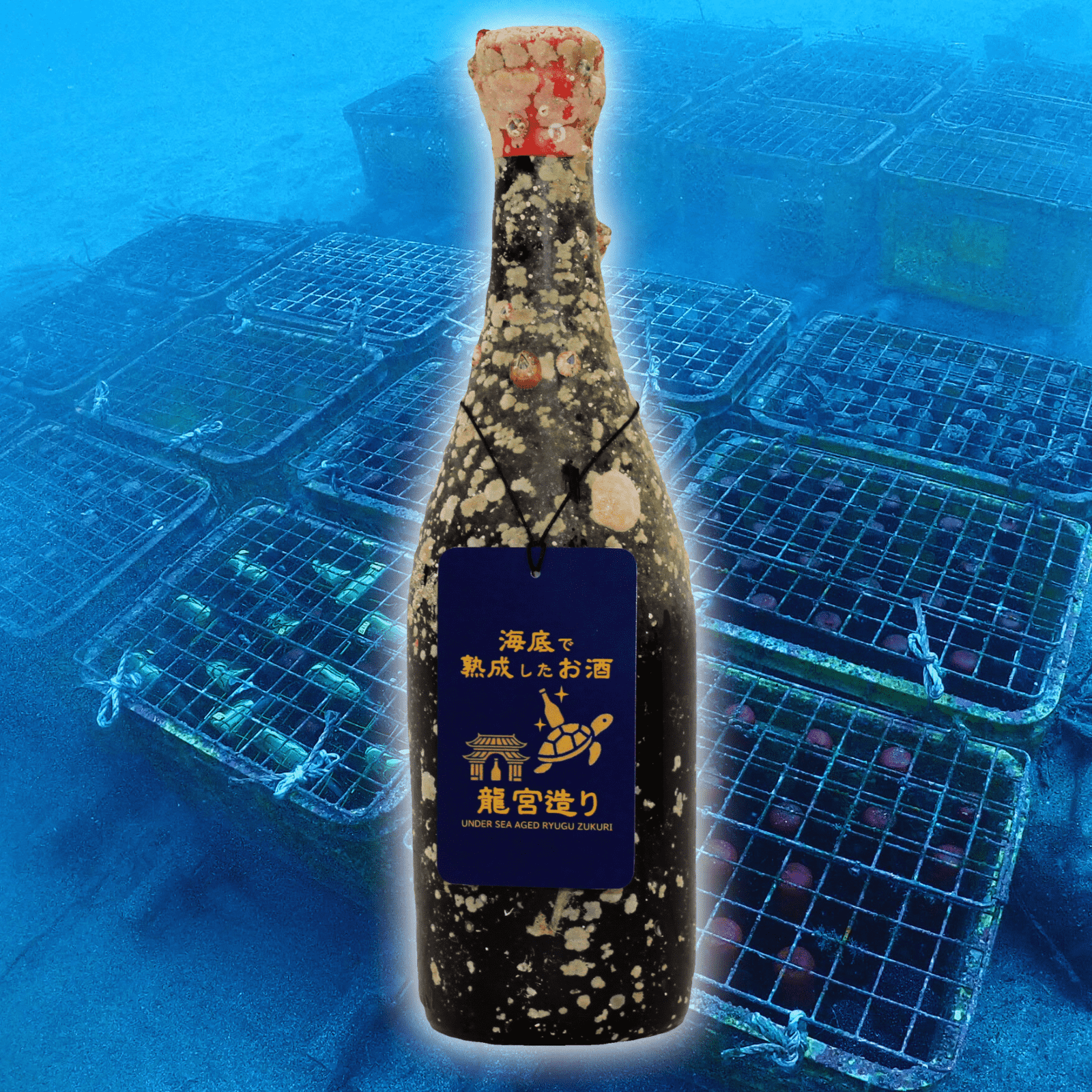 【濃厚な旨味フルボディの味わい】海底で熟成した芋焼酎 赤ワイン酵母仕込 むらさきいも