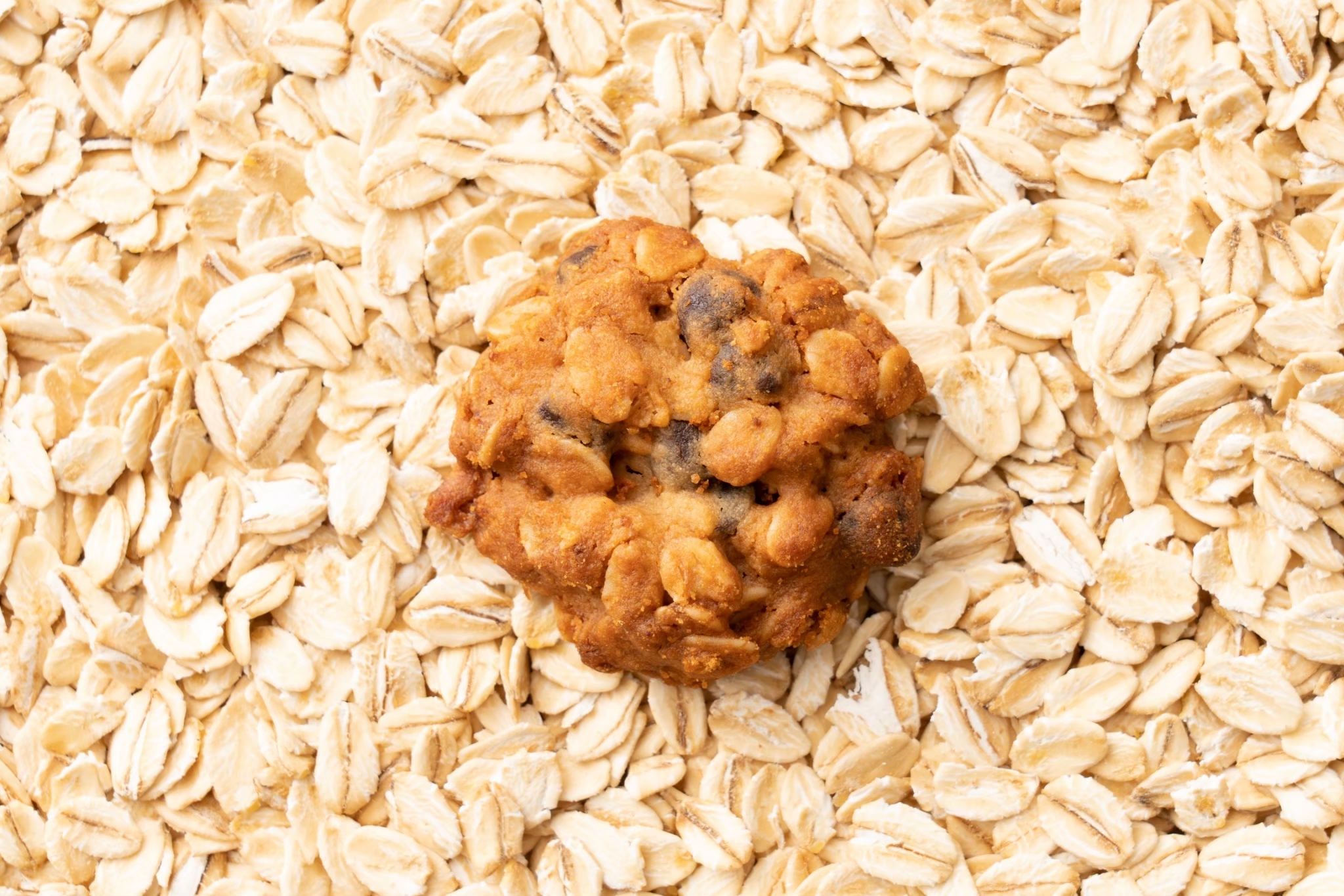 米粉とオートミールのクッキー　100g