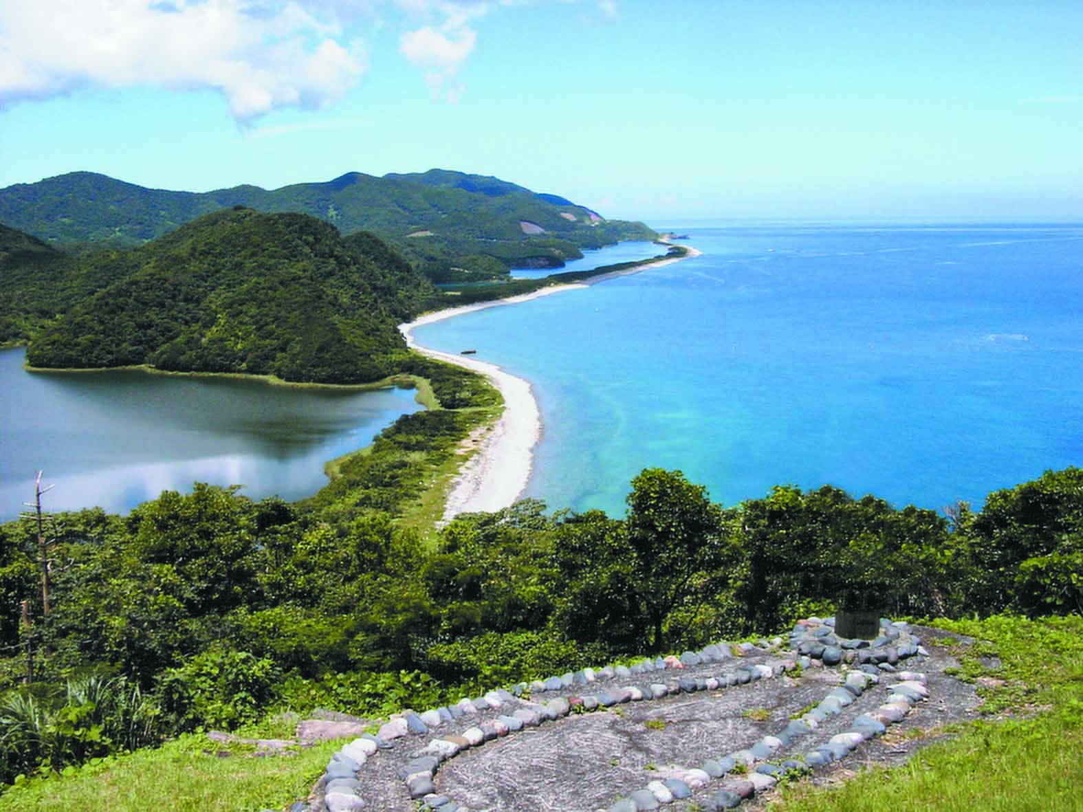 【特大 鹿児島県産うなぎ】うなぎ蒲焼 200g×1尾 切り身1袋