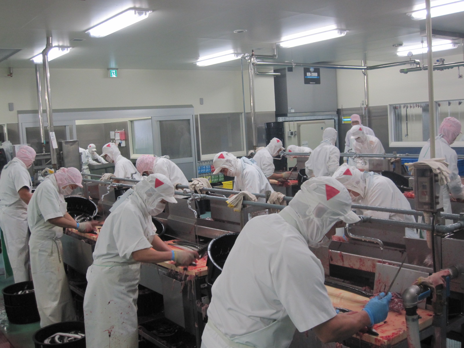【特大 鹿児島県産うなぎ】うなぎ蒲焼200g×2尾