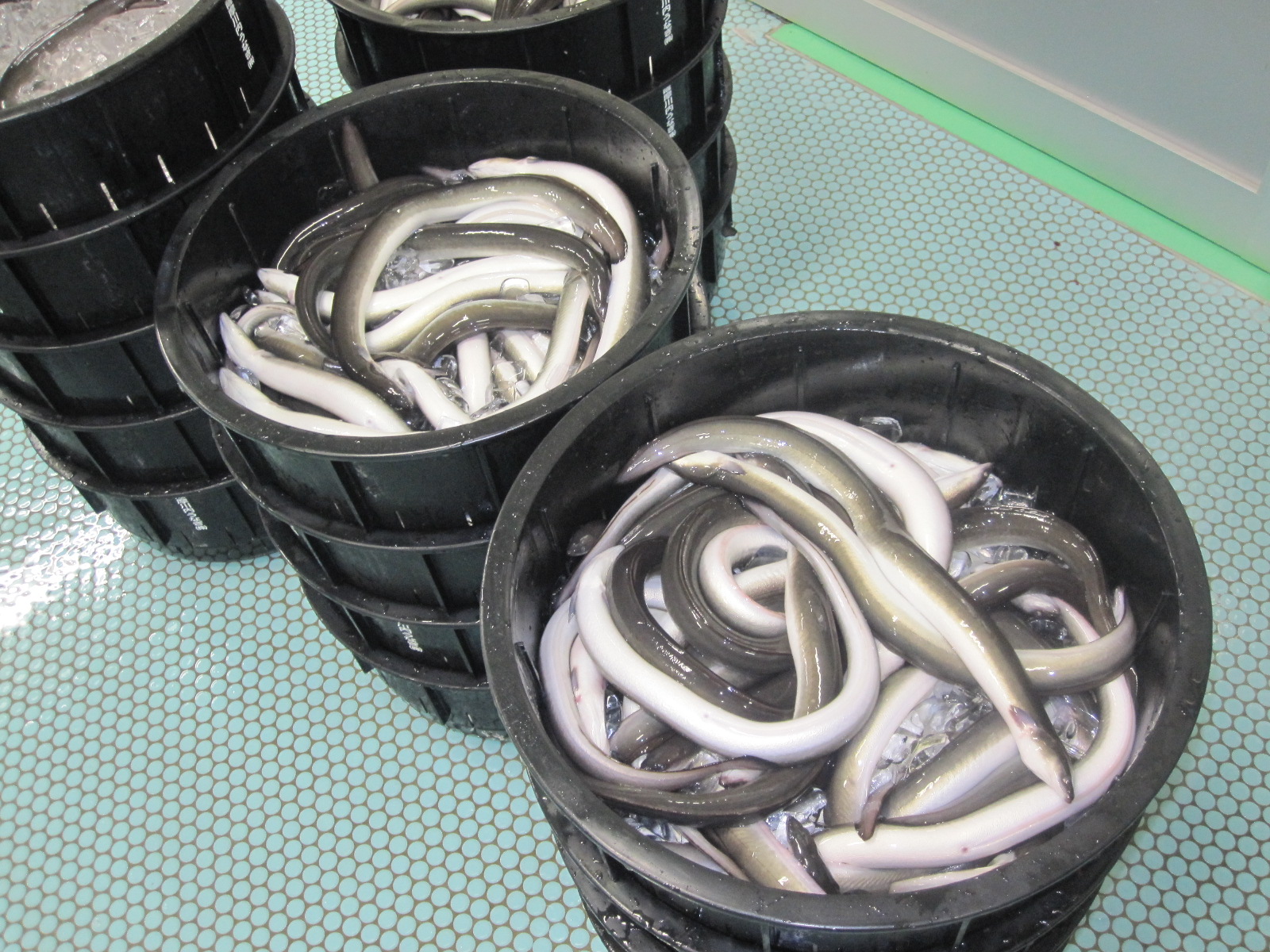 【特大 鹿児島県産うなぎ】うなぎ蒲焼200g×2尾
