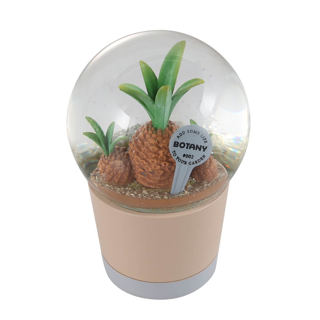 PLANTS WATER GLOBE BUPLEURIFOLIA