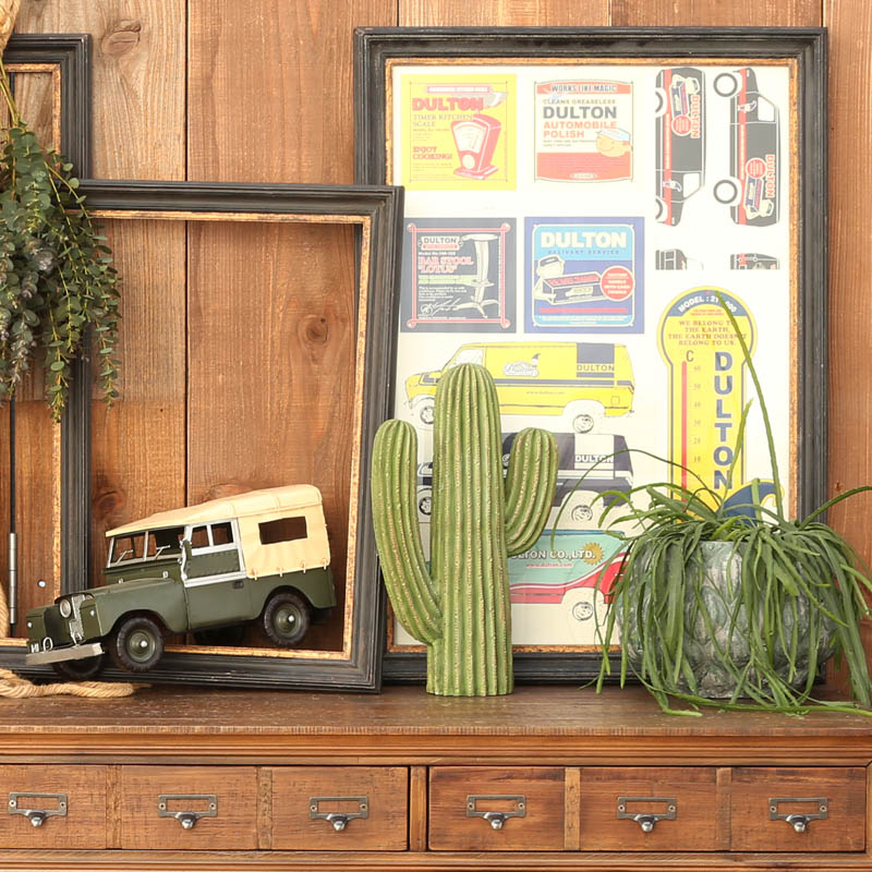 CACTUS D