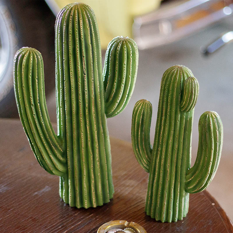 CACTUS D