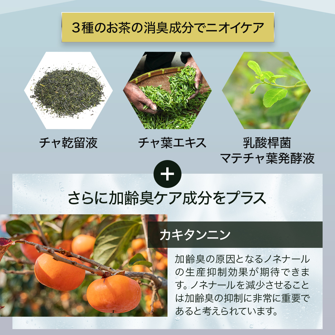ボディソープR3　ティームスク