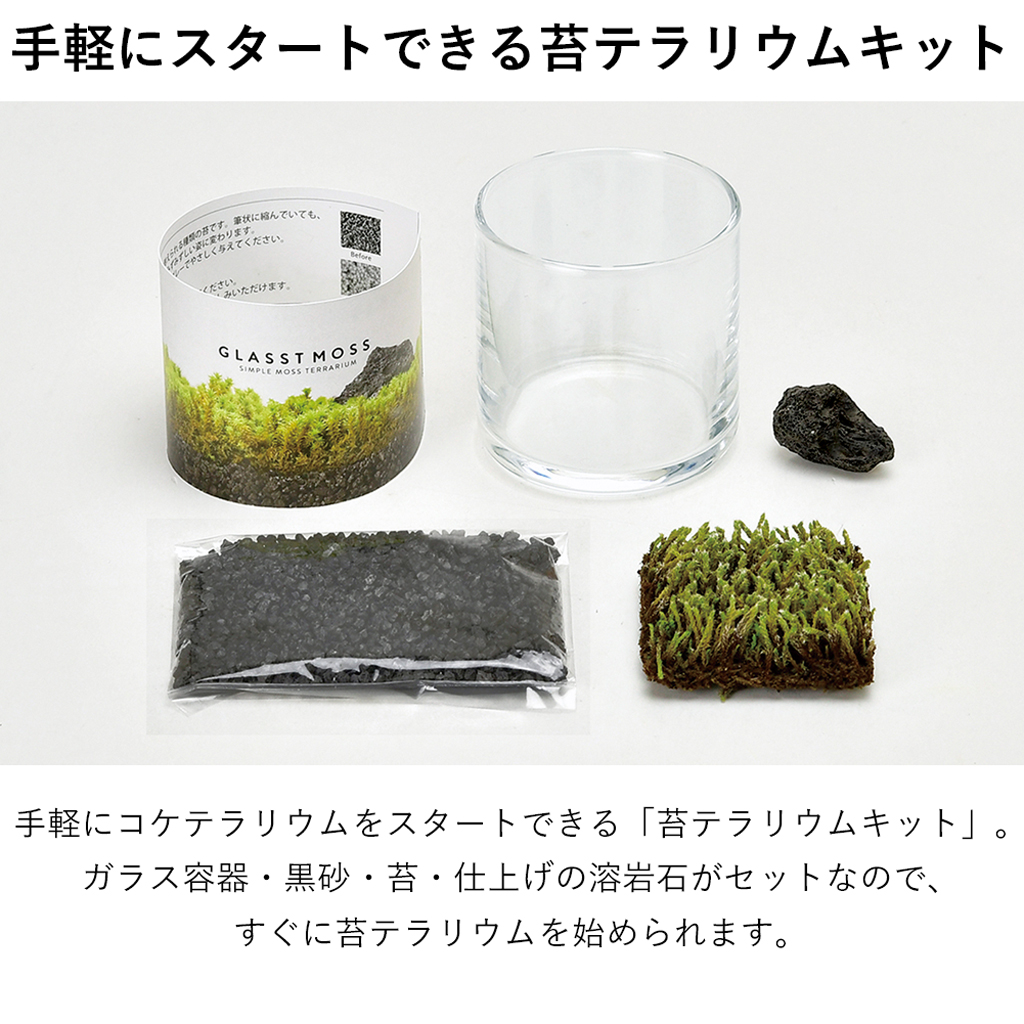 GLASST MOSS (グラストモス) ガラスで育てる苔テラリウム