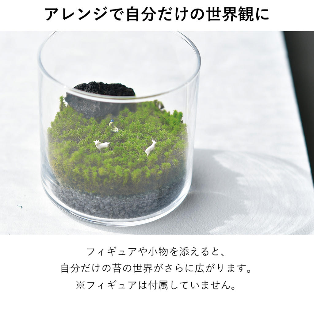 GLASST MOSS (グラストモス) ガラスで育てる苔テラリウム