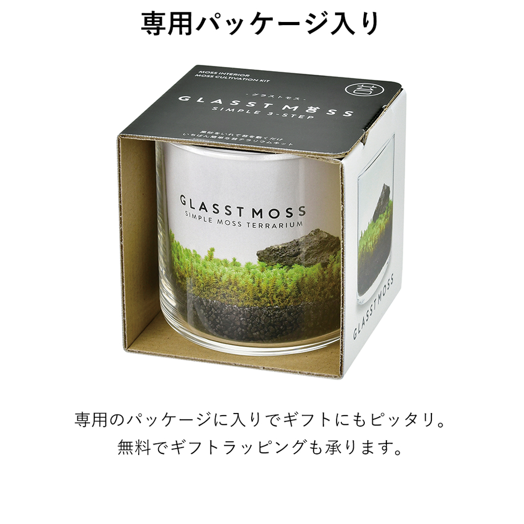 GLASST MOSS (グラストモス) ガラスで育てる苔テラリウム