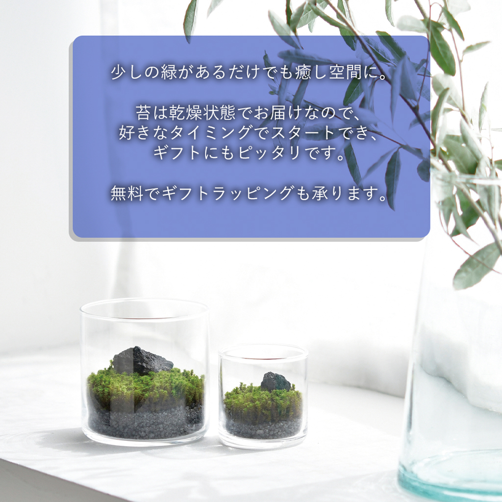 GLASST MOSS (グラストモス) ガラスで育てる苔テラリウム