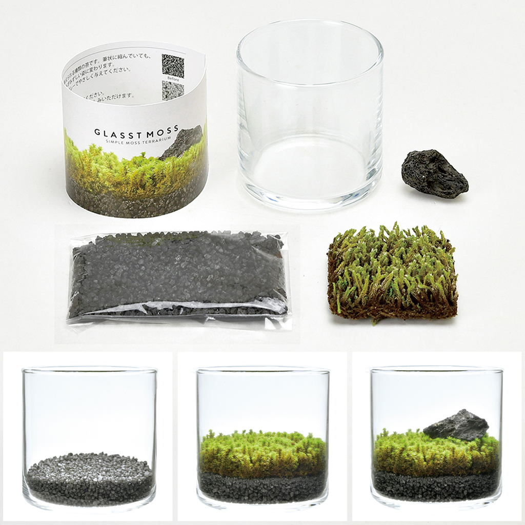 GLASST MOSS (グラストモス) ガラスで育てる苔テラリウム