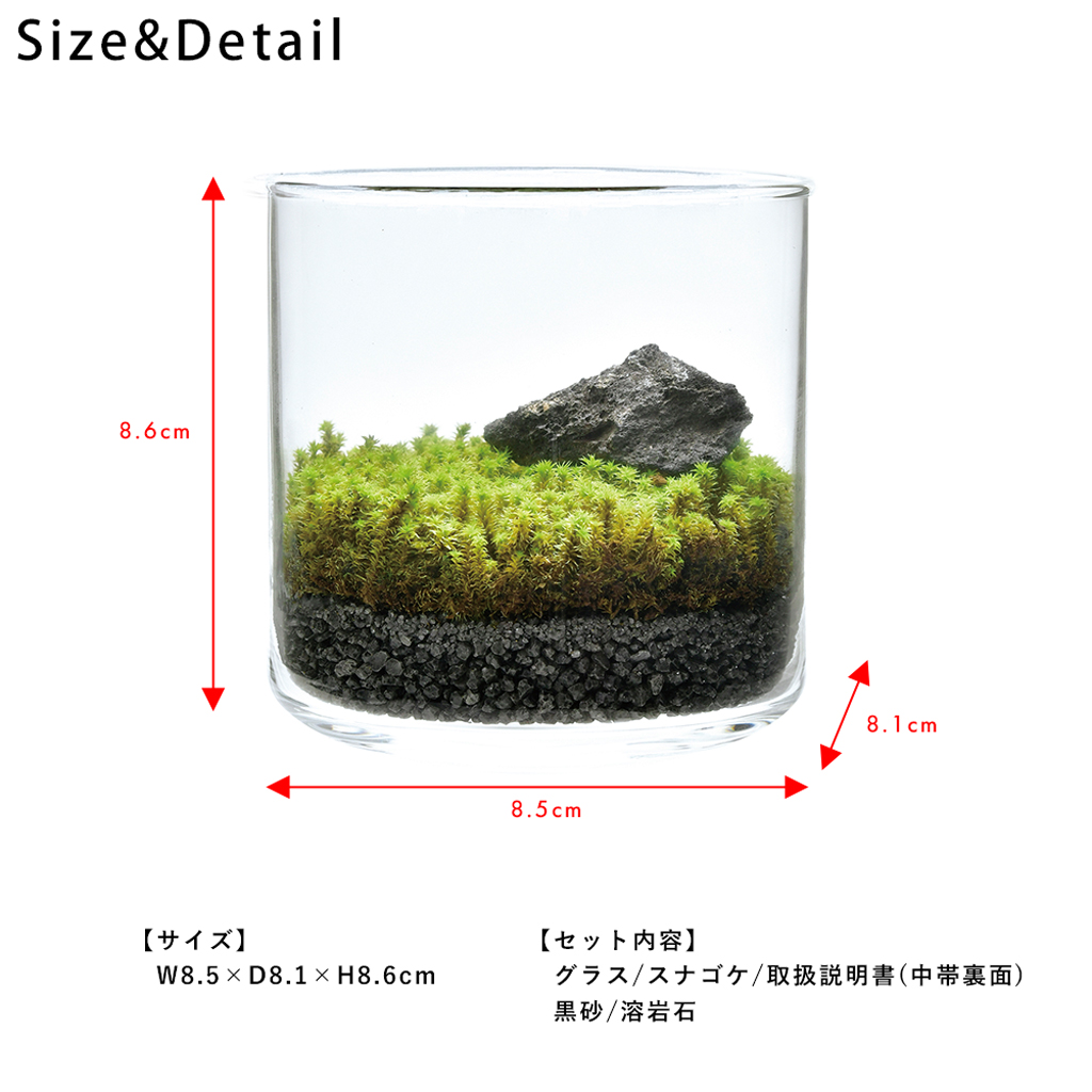 GLASST MOSS (グラストモス) ガラスで育てる苔テラリウム