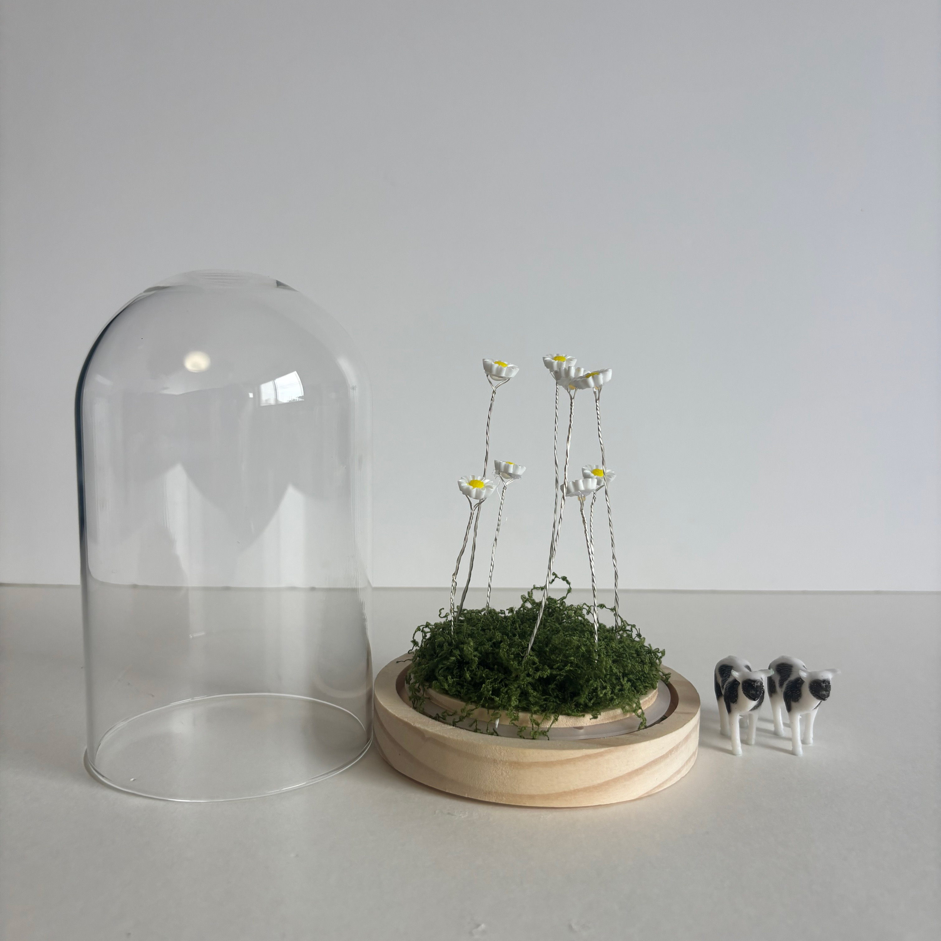 Lumo Glass Dome