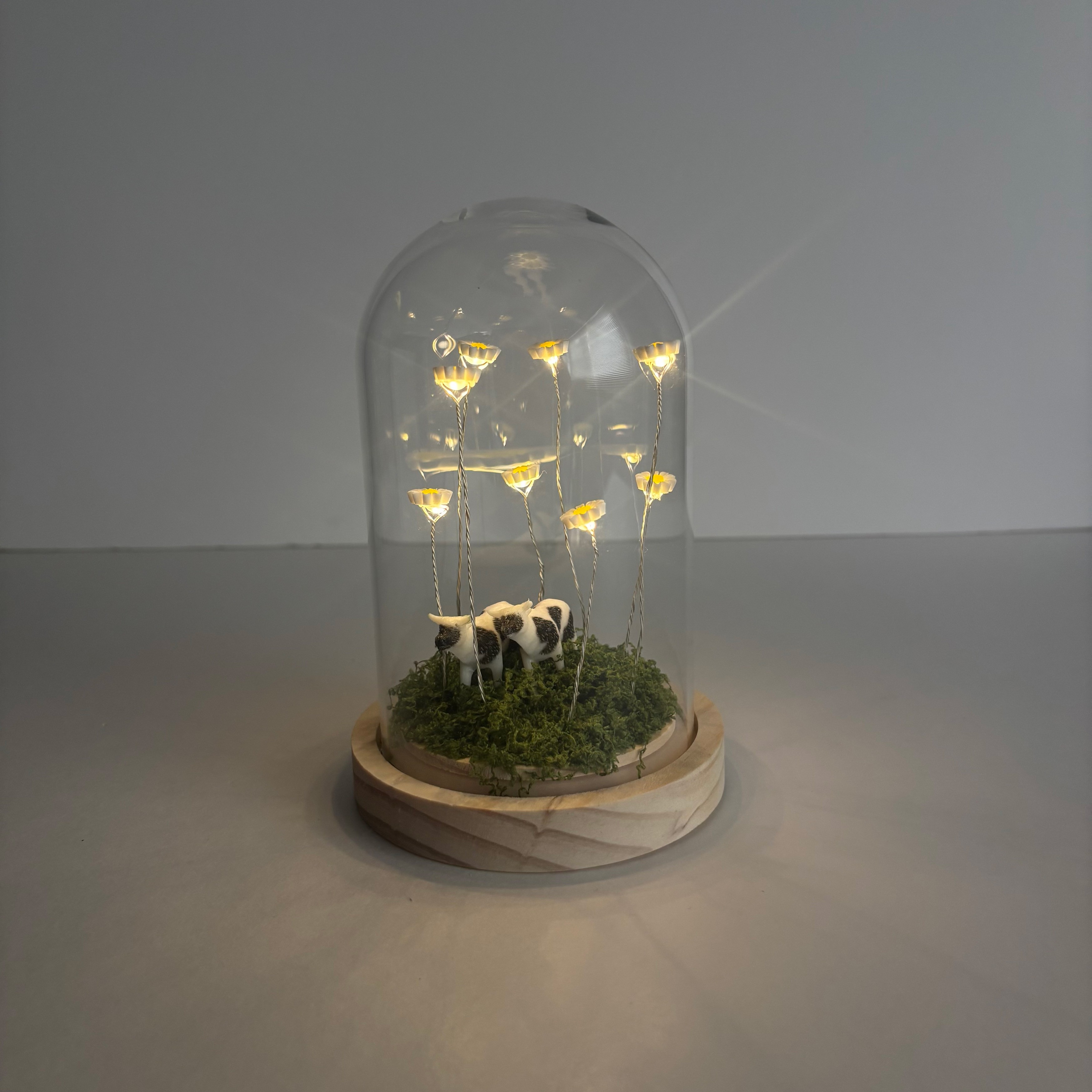 Lumo Glass Dome