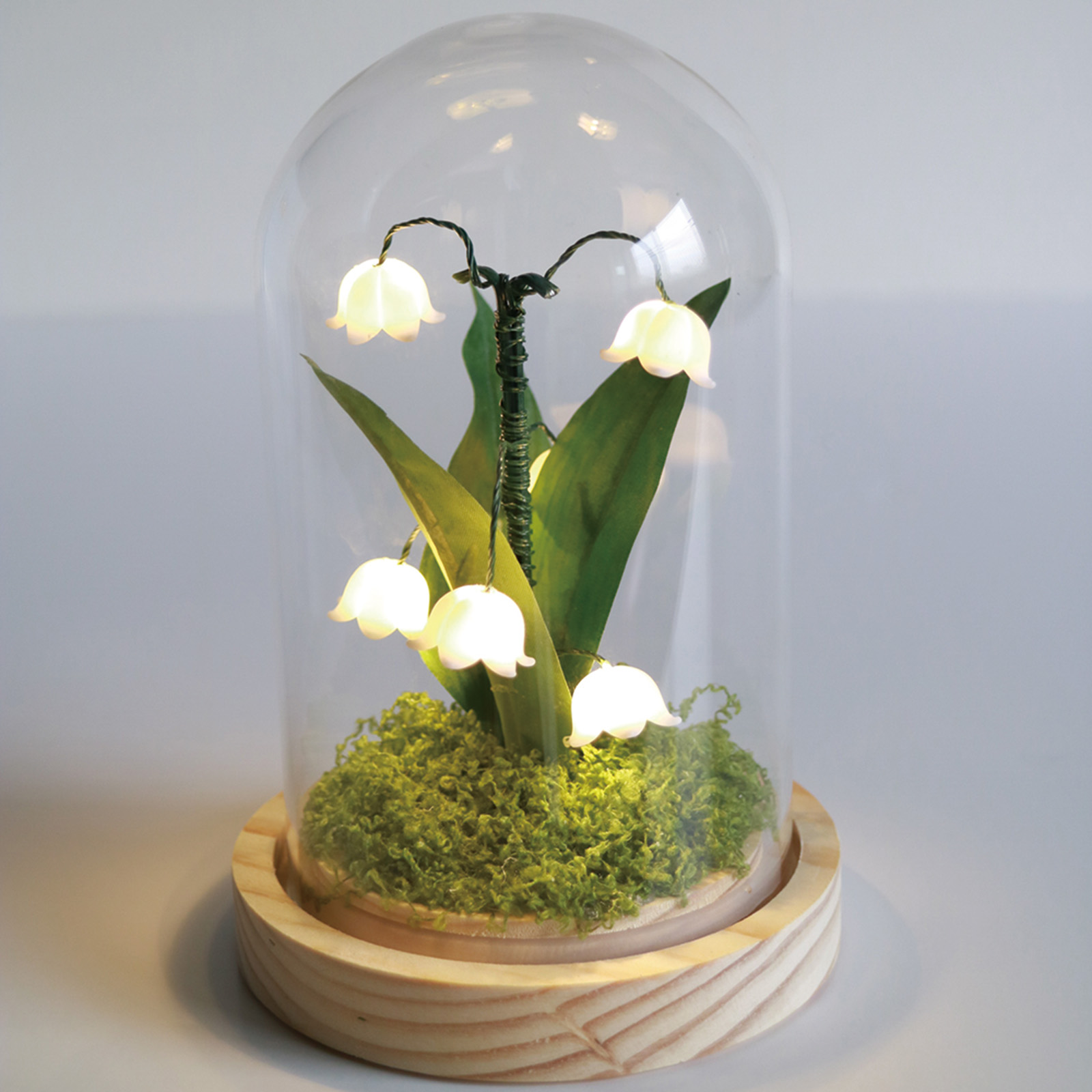 Lumo Glass Dome