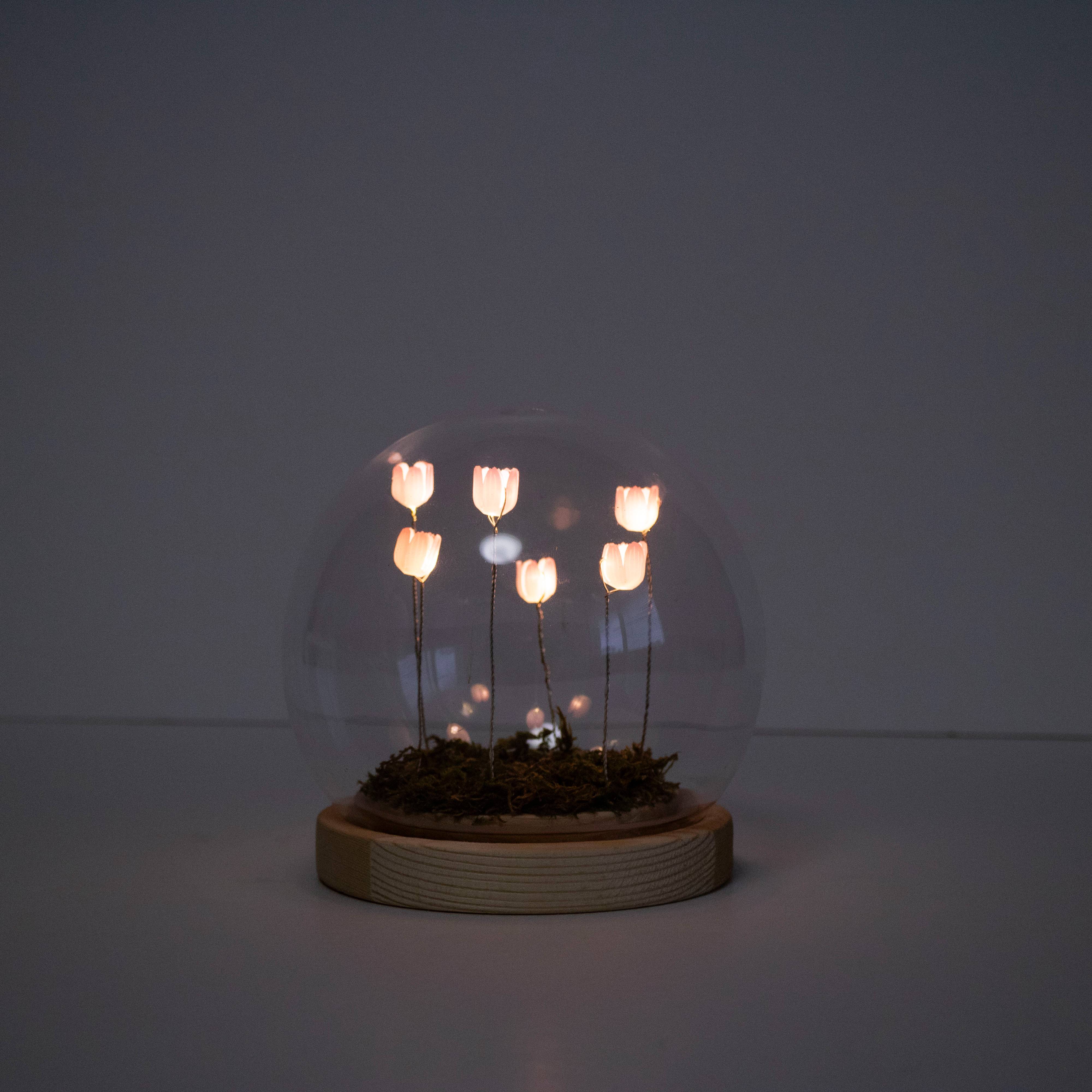 LUMO Tulip Glass Boll