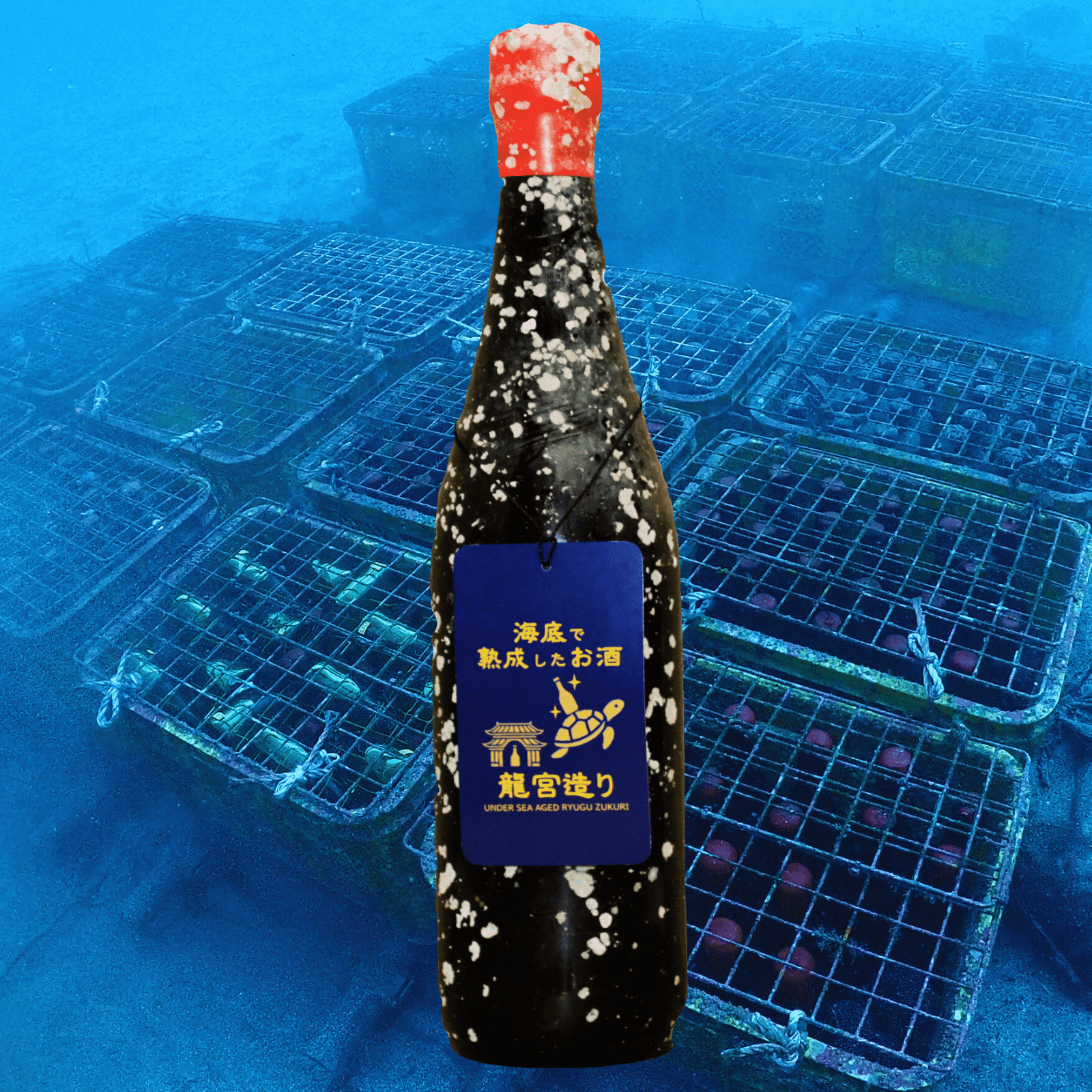 【山田錦100%使用,ワイングラスでおいしい日本酒アワード2024最高金賞】海底で熟成した日本酒 大吟醸 匠