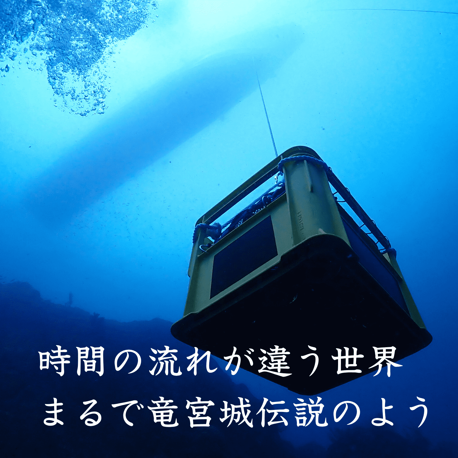 【山田錦100%使用,ワイングラスでおいしい日本酒アワード2024最高金賞】海底で熟成した日本酒 大吟醸 匠